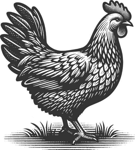 BRAND-Paradise-Meadows-Poultry-Chicken-Farm-Black-Creek-Vancouver-Island--26 copy