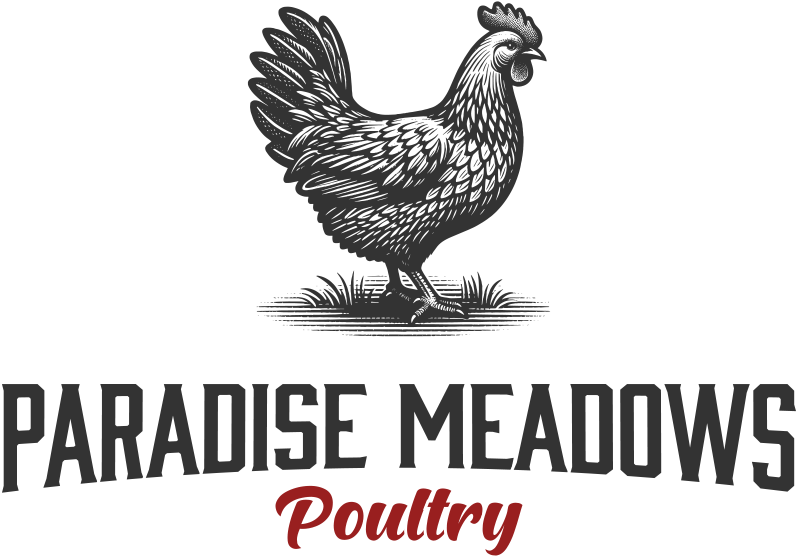 BRAND-Paradise-Meadows-Poultry-Chicken-Farm-Black-Creek-Vancouver-Island--38 copy