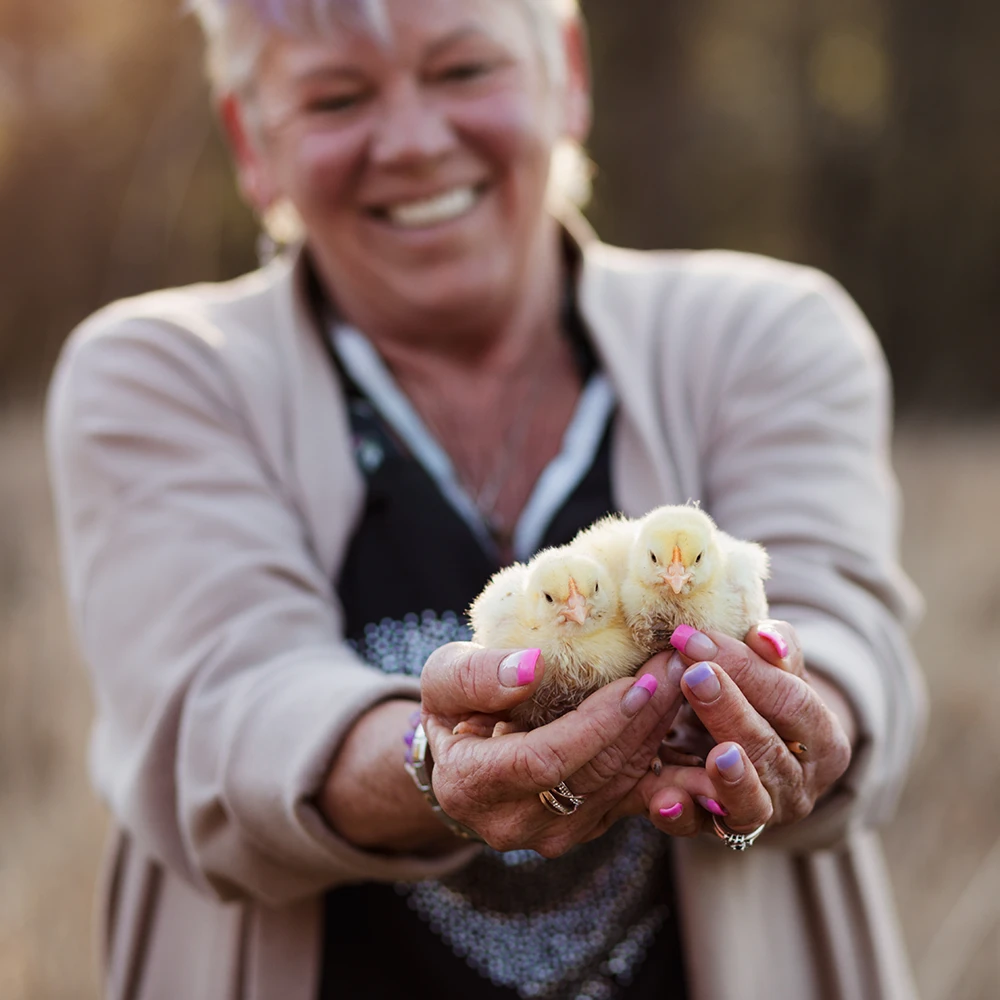 https://paradisemeadowspoultry.com/wp-content/uploads/2026/02/SQUARE-Paradise-Meadows-Poultry-Chicken-Farm-Black-Creek-Vancouver-Island-16.webp