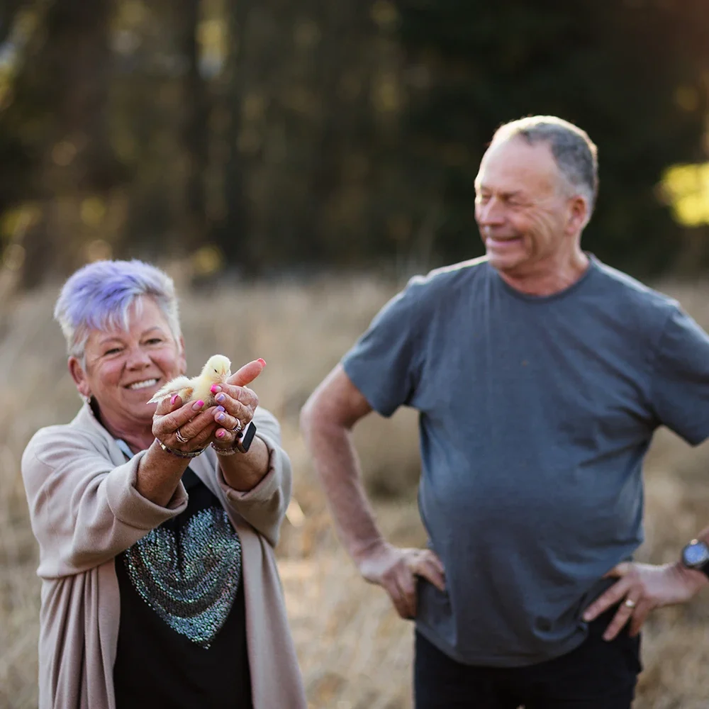 SQUARE-Paradise-Meadows-Poultry-Chicken-Farm-Black-Creek-Vancouver-Island-12