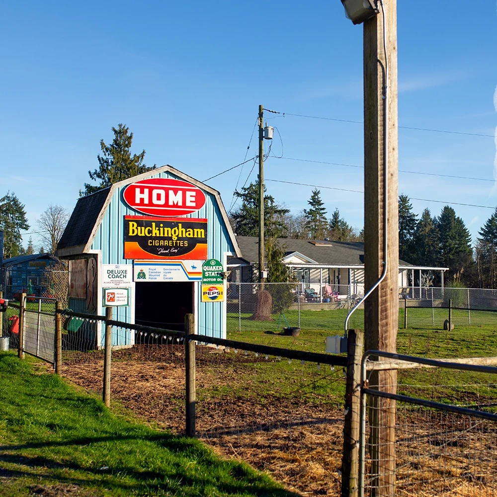 SQUARE-Paradise-Meadows-Poultry-Chicken-Farm-Black-Creek-Vancouver-Island-26